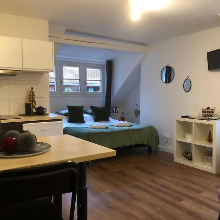 Coquet Studio Colmar Centre Экстерьер фото