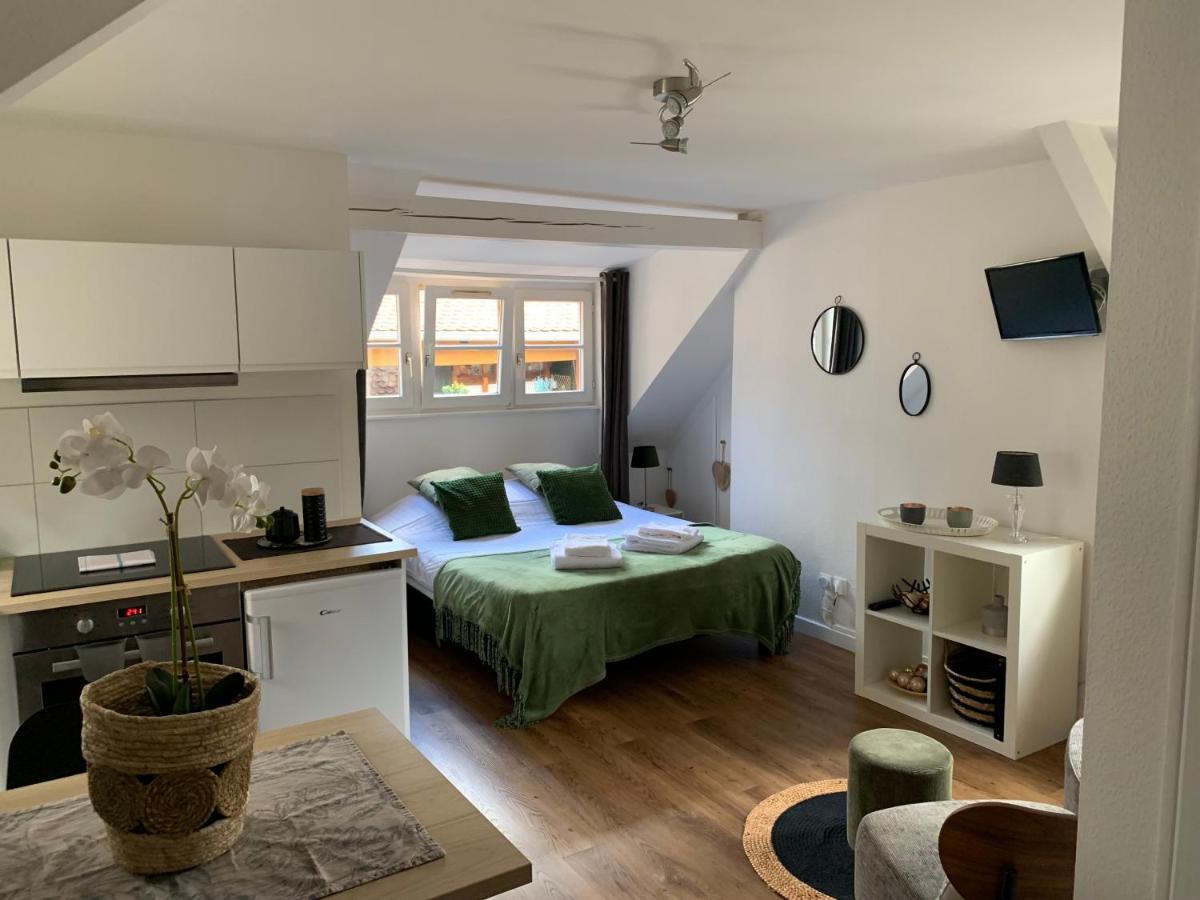 Coquet Studio Colmar Centre Экстерьер фото